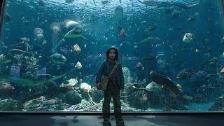 You Can Talk to fish - Aquarman Uncut Scene