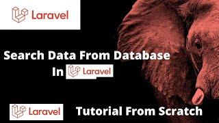 How To Search Data In Laravel | Laravel Tutorial Step By Step