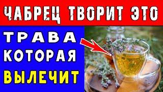 НЕВЕРОЯТНЫЕ вещи ТВОРИТ ЧАБРЕЦ с ОРГАНИЗМОМ  Полезные свойства ЧАБРЕЦА