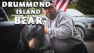 Drummond Island Bear | Dream Hunt!