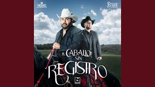 El Caballo Sin Registro