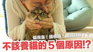 【好味小姐】你不該養貓的５大原因！看完你還想養嗎？｜養貓要知道EP6