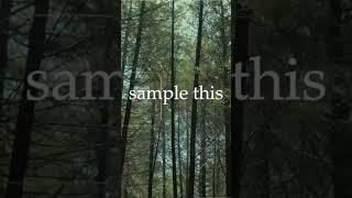 #flgang #aesthetic #sample #samplethis “brilliant” by Sanchez Jones