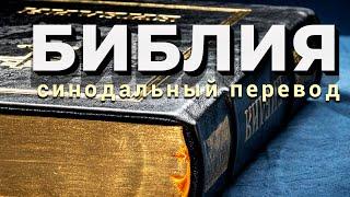 Синодальный перевод Библии: история возникновения, языки перевода, особенности оформления