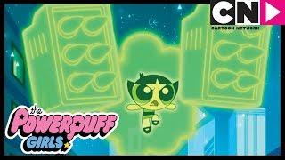 Суперкрошки | Новые cилы | Cartoon Network