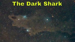 The Dark Shark & LDN1250 Astrophotography Capture