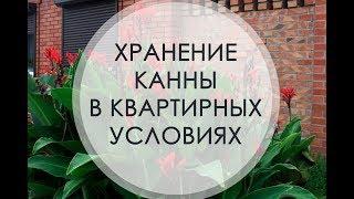 Хранение канны в квартире