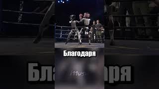 Турнир по робо-боксу