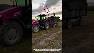 Farmer Transporting Straw Rolls with Tractor | Agricultural Post-Harvest Efficiency