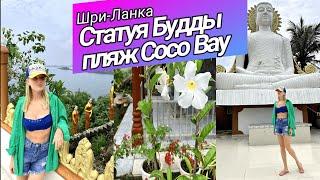 ШРИ-ЛАНКА 2022 | БУДДА и пляж CocoBay