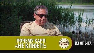 ПОЧЕМУ КАРП "НЕ КЛЮЕТ"! Карпфишинг по существу с Александром Носовцом  ИЗ ОПЫТА