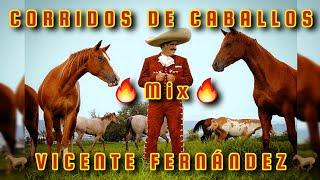 MIX VICENTE FERNANDEZ CORRIDOS DE CABALLOS   