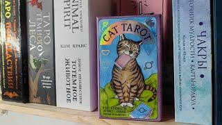 Обзор колоды CAT TAROT/таро котов эксмо.