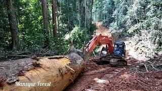 Kongsi Excavator Kumatsu PC 200 dan Hitachi Zaxis 210 F Sarad/Skidding Logs Besar Ke- TPn