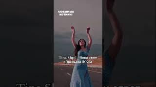 Tina Shpil - Лови ответ (Премьера 2023) #премьера #премьерапесни #тинашпильловиответ #shorts