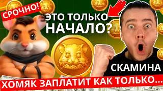 ️ HAMSTER KOMBAT - СРОЧНО! ЭТО ШОК  НАС ВСЕХ НЕ ЗАСКАМИЛИ️ХОМЯК НАМ ЗАПЛАТИТ️ЭТО НЕ СКАМ ВЕКА️