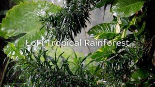 Relaxing Rainforest Ambience | Lo-fi Rain Sounds with Tropical Plants for Houseplant Chores