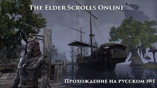 The Elder Scrolls Online 2022 год Прохождение на русском №1 - Начинаем! Вступление. Обучение