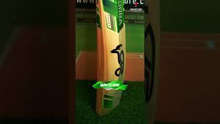 Designed for dominance!  | Crickstore #crickstore #cricket