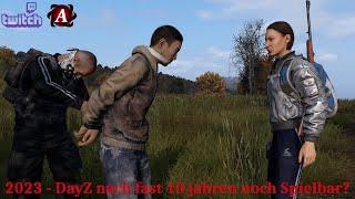 Lohnt sich DayZ 2023 & kleine Tipps zur Serverwahl