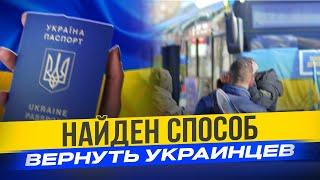 «Никто никогда не вернется в Украину» - боль или реальность?