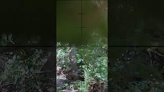 Under Fire Airsoft Sniper #SHORT