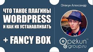 Что такое Плагины WordPress и как их устанавливать + Fancy box