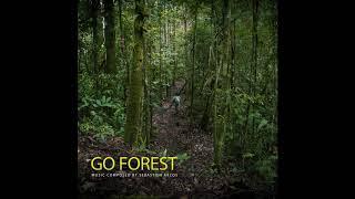 GO FOREST - Sébastien Arcos -