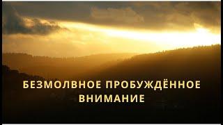 №1. Безмолвное Пробуждённое Внимание. Экхарт Толле. Чистое Сознание и Состояние Потока.