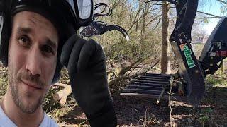 Woodland Clearance With Gizzy Green Fingers