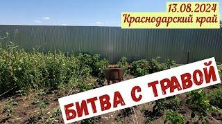 Краснодарский край. Битва с травой(13.08.2024)