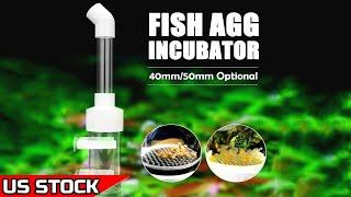 Aquarium Fish Egg Tumblers Hatchery Incubators | Cichlid Egg Incubator- from senzeal.com