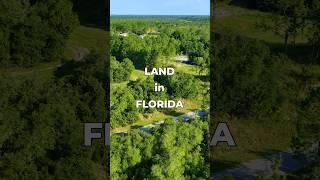 FLORIDA Land for Sale with Utilities • LANDIO