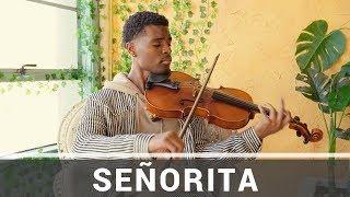 Shawn Mendes, Camila Cabello | Señorita | Jeremy Green | Viola Cover