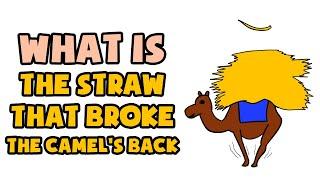 What is The Straw That Broke The Camel's Back | Explained in 2 min