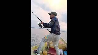 Fishing Adventures with Fishing Tackle Addict #fishing #tackle #fishingvideo #youtubeshorts #shorts