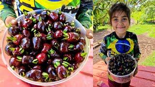 fruta nativa muito saborosa, suco de cereja do rio grande