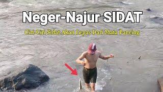 Telat Sedik Aja SIDATNYA Lepas: Berikut Ini Paktanya#Najur//NegerSidat