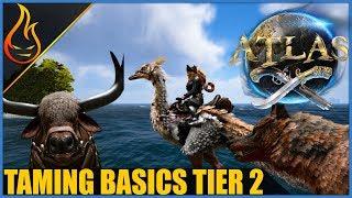 Atlas MMO Pet Taming Basics Part 2