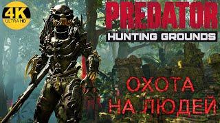 Predator Hunting GroundsИГРА ЖИВА! АЛЬФА - ХИЩНИК В ДЕЛЕ! ОХОТА НА ЛЮДЕЙ! Патч/ Patch 2.23 4K