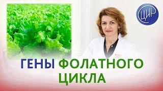 Гены фолатного цикла, фолатный обмен и генетические анализы в лаборатории ЦИР.