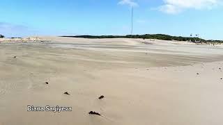 Cape Recife Nature Reserve, Gqeberha