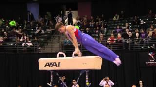 Sergey Stepanov - Pommel Horse Finals - 2012 Kellogg's Pacific Rim Championships