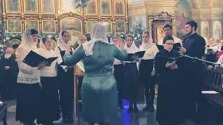 «В темную нічку» - архієрейський хор Свято-Успенського собору Житомира. Соло: Іван Кондратюк.
