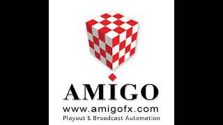 amigofx Live Stream