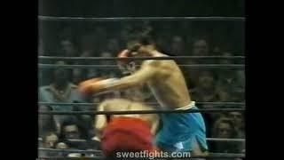 Roberto Duran vs Monroe Brooks (best combinations) highlights #boxing #fitness