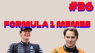 F1 MEMES #36 (2024 Season)