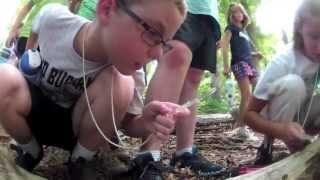 Junior Naturalist Camp