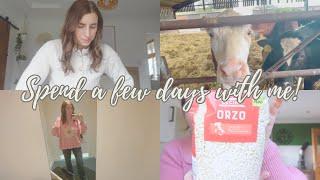 SPEND A FEW DAYS WITH ME! | WORK, CHARITY SHOPS & A DISASTER!