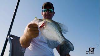 Tips for Summer Crappie Fishing